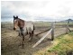 Kingsthorpe QLD 4400