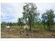 Lot 2 Grantham Scrub Road, Veradilla QLD 4347