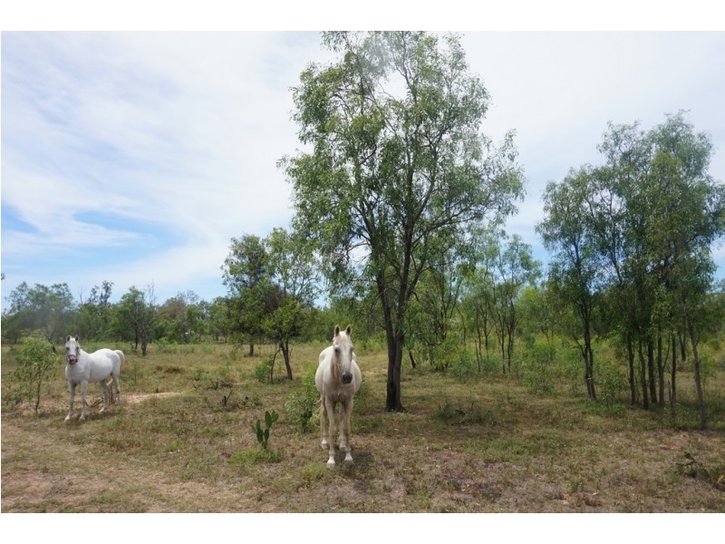 Lot 2 Grantham Scrub Road, Veradilla QLD 4347