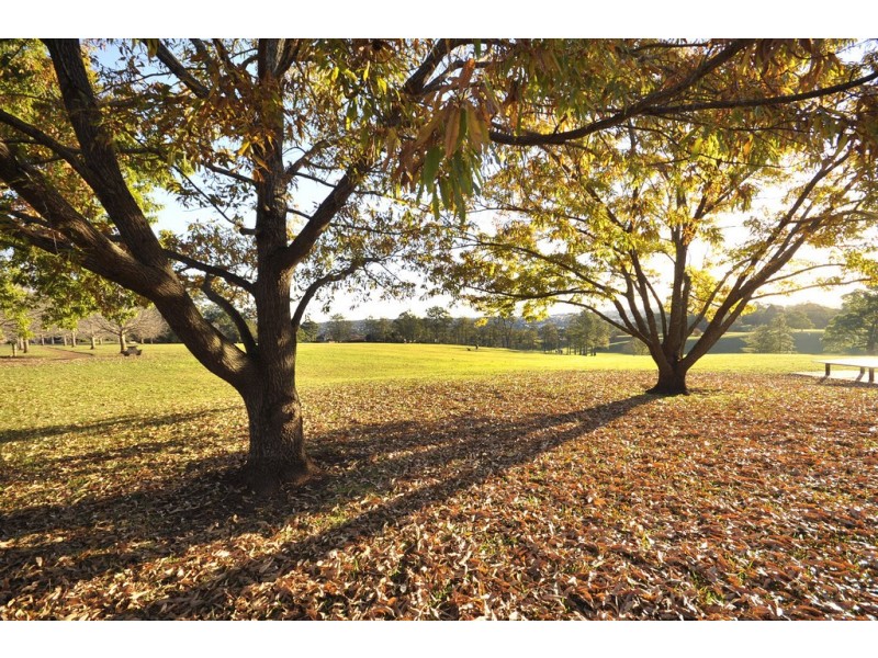 Lot 6 Parklane Estate, Pascoe Lane, Harlaxton QLD 4350