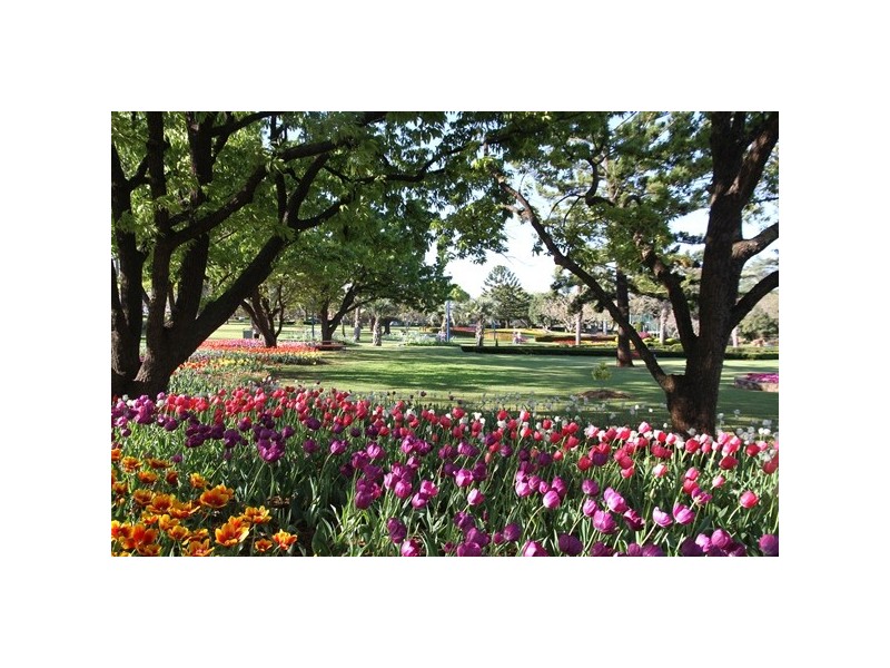 7a Brodribb Street, Toowoomba QLD 4350