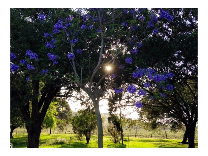 227 Nara Boah Water Hole Road, Boodua QLD 4401