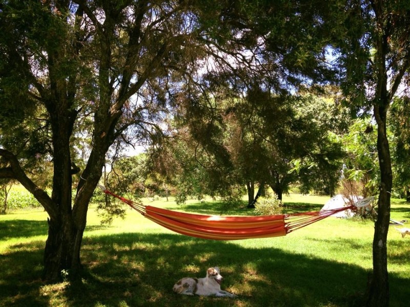 227 Nara Boah Water Hole Road, Boodua QLD 4401