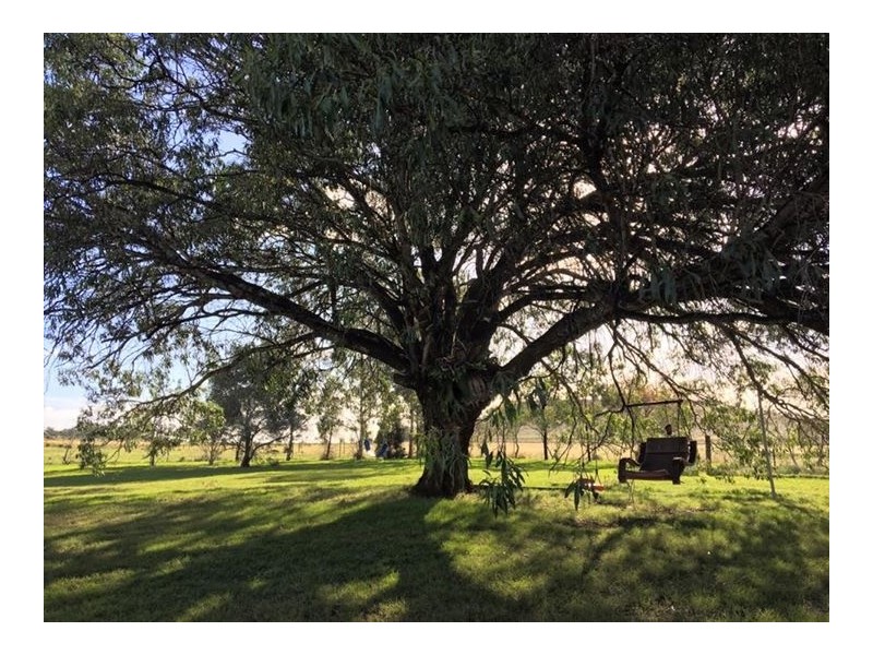 227 Nara Boah Water Hole Road, Boodua QLD 4401