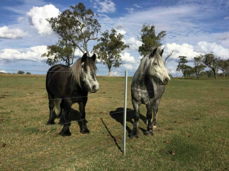 227 Nara Boah Water Hole Road, Boodua QLD 4401