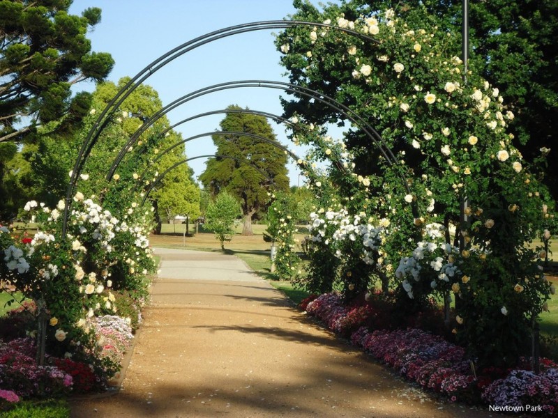 12 Berry Street, Wilsonton QLD 4350