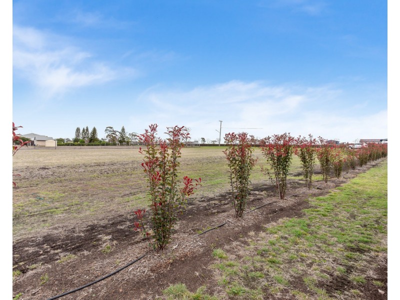 20-24 Bunkers Hills School Road, Westbrook QLD 4350