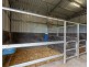 223 Allen Road, Greenmount East QLD 4359