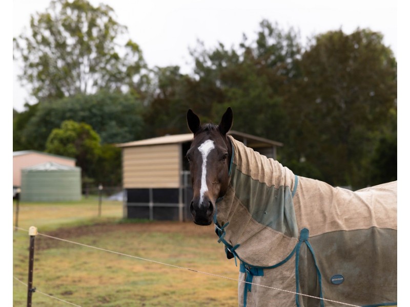 21 Penfolds Road, Murphys Creek QLD 4352