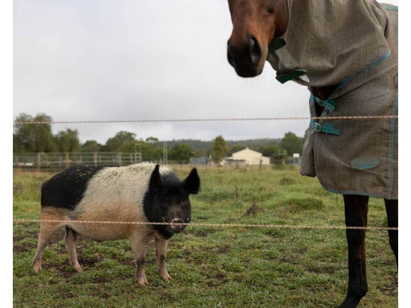21 Penfolds Road, Murphys Creek QLD 4352
