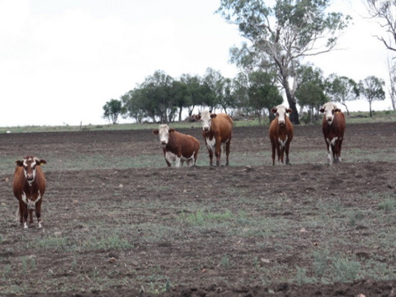 31 Valera Road, Scrubby Mountain QLD 4356