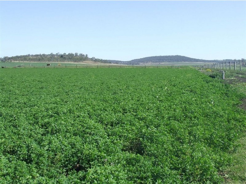 168 Richardsons Road, Southbrook QLD 4363