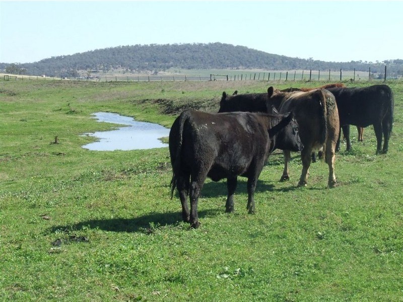 168 Richardsons Road, Southbrook QLD 4363