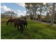 29 Walkers Springs Road, Preston QLD 4352