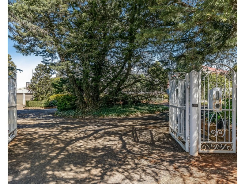 244 Herries Street, Newtown QLD 4350