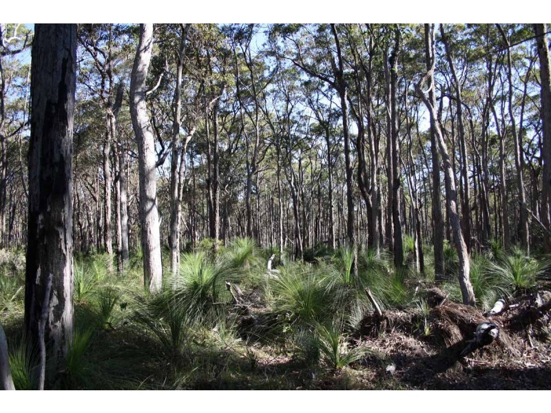 Crows Nest QLD 4355