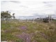 821 Clifton Pittsworth Road, Back Plains QLD 4361