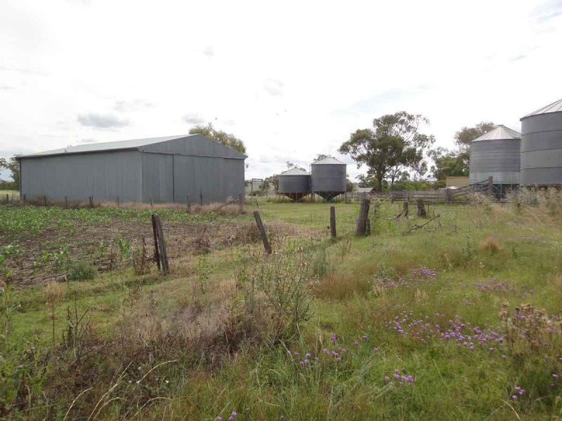 821 Clifton Pittsworth Road, Back Plains QLD 4361