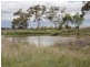 821 Clifton Pittsworth Road, Back Plains QLD 4361