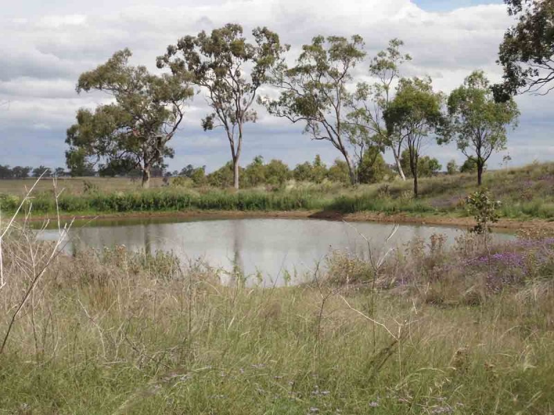 821 Clifton Pittsworth Road, Back Plains QLD 4361