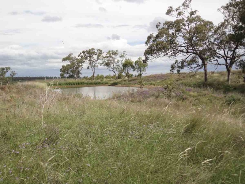 821 Clifton Pittsworth Road, Back Plains QLD 4361