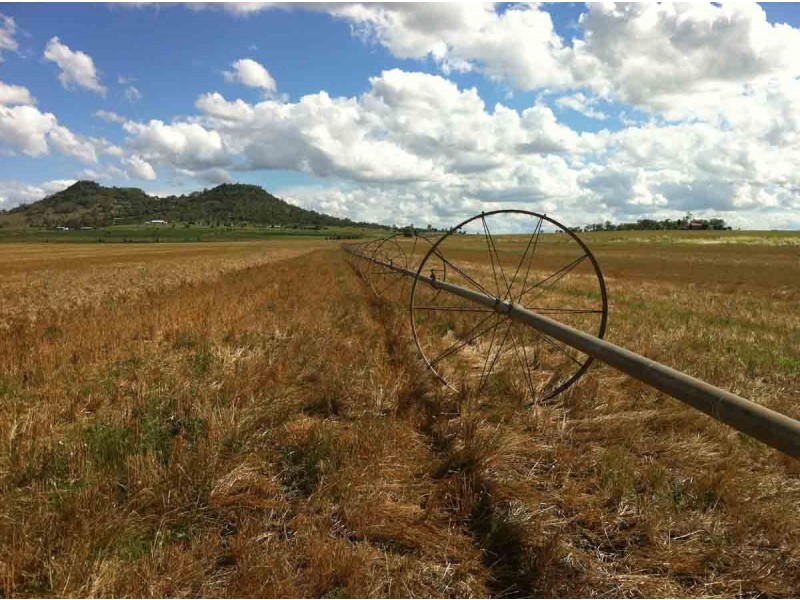 “Kingslea” 110 Robson Road, Kingsthorpe QLD 4400