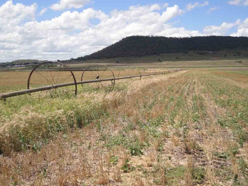 “Kingslea” 110 Robson Road, Kingsthorpe QLD 4400