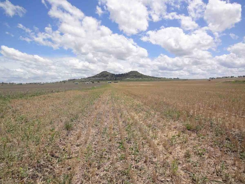 “Kingslea” 110 Robson Road, Kingsthorpe QLD 4400