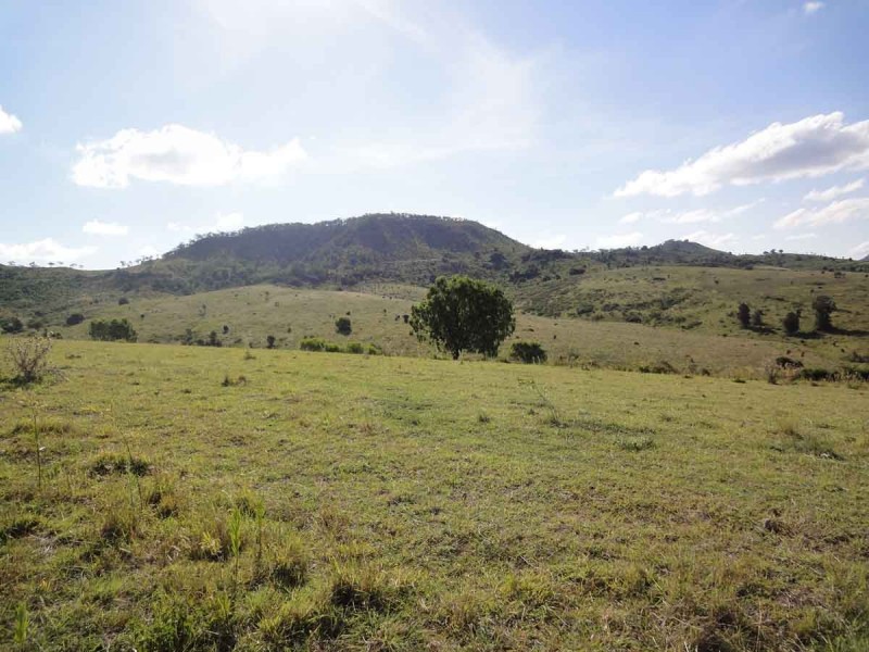 31 Macginley Road, West Haldon QLD 4359