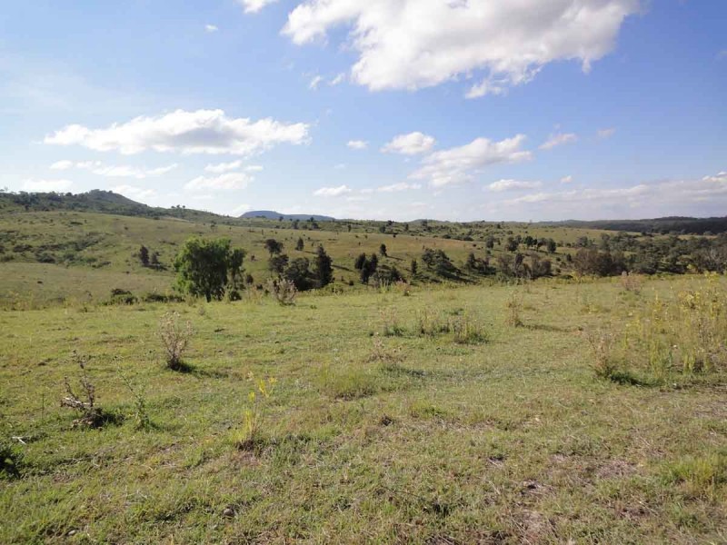 31 Macginley Road, West Haldon QLD 4359
