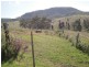 31 Macginley Road, West Haldon QLD 4359