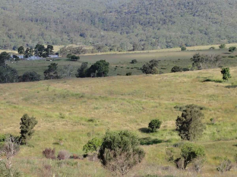 31 Macginley Road, West Haldon QLD 4359