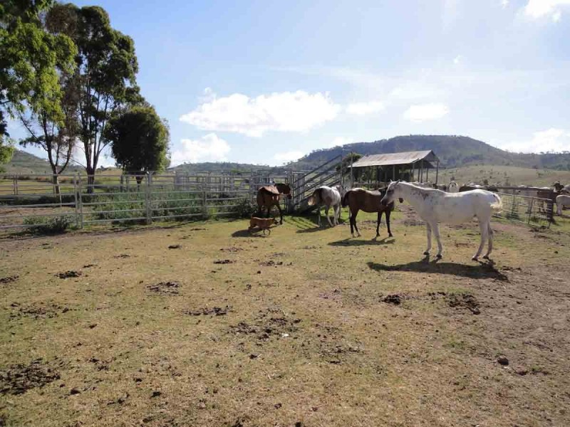 31 Macginley Road, West Haldon QLD 4359