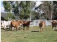 31 Macginley Road, West Haldon QLD 4359