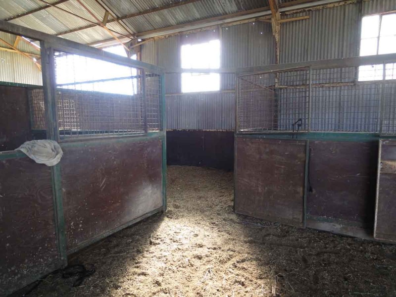 31 Macginley Road, West Haldon QLD 4359