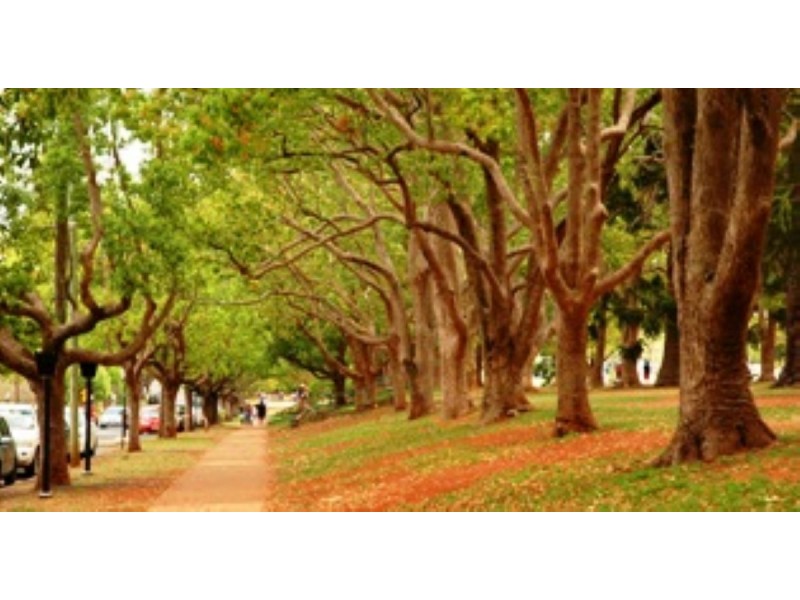 Strawberry Heights Estate, Mount Kynoch QLD 4350