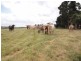 1164 New England Highway, Upper Yarraman QLD 4614