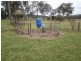 1164 New England Highway, Upper Yarraman QLD 4614