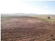 1670 Toowoomba Cecil Plains Road, Biddeston QLD 4401