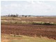 1670 Toowoomba Cecil Plains Road, Biddeston QLD 4401