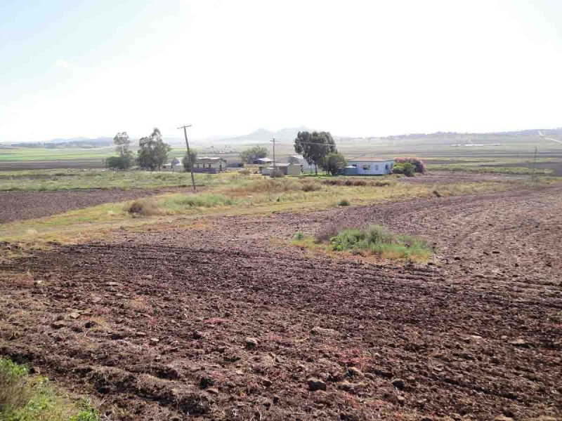 1670 Toowoomba Cecil Plains Road, Biddeston QLD 4401