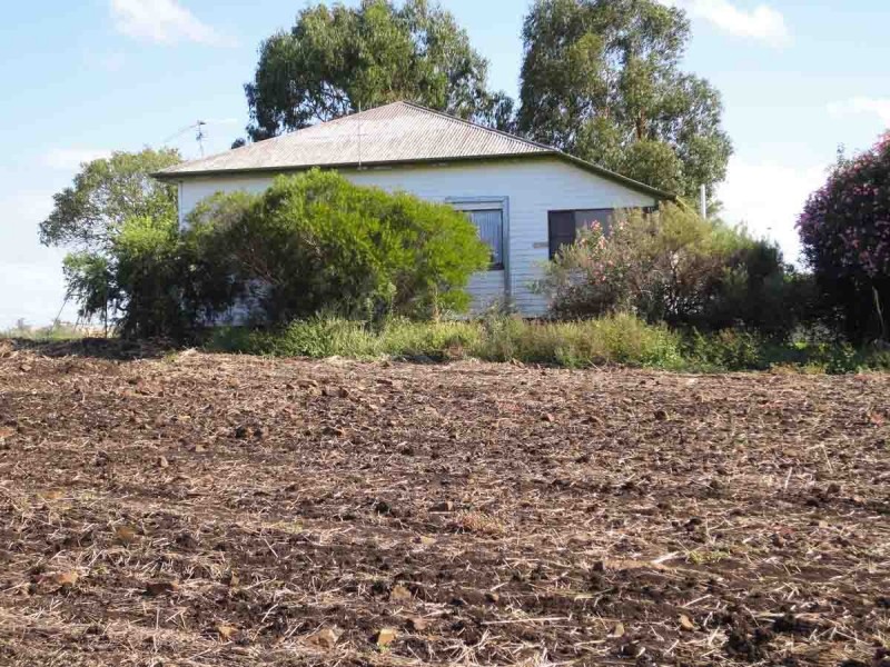 1670 Toowoomba Cecil Plains Road, Biddeston QLD 4401