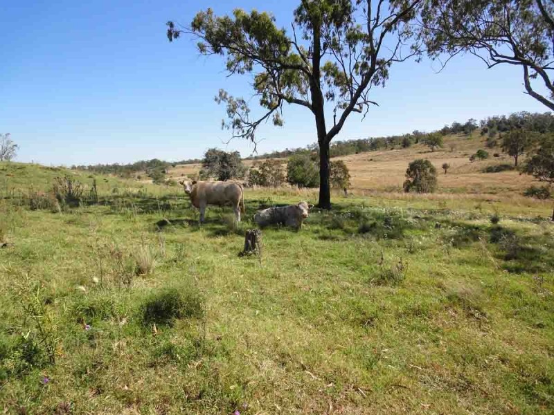 Lot 80 and 2 Kings Hill Road, Kulpi QLD 4352
