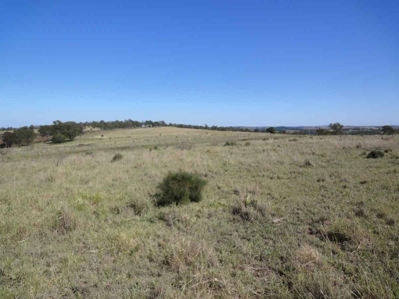 Lot 80 and 2 Kings Hill Road, Kulpi QLD 4352