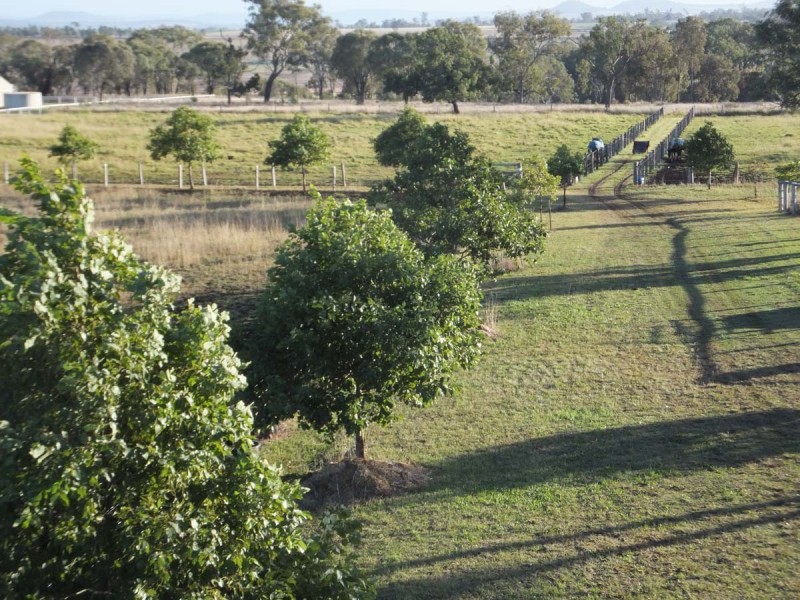 207 Jonel Park Road, Allora QLD 4362