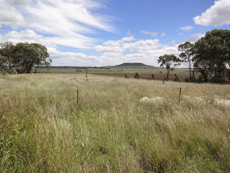 207 Jonel Park Road, Allora QLD 4362