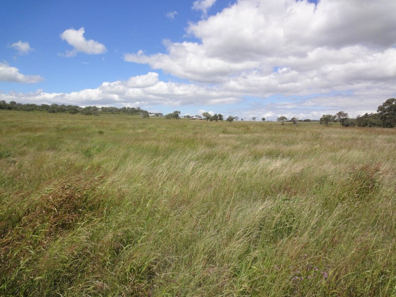 207 Jonel Park Road, Allora QLD 4362