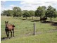 207 Jonel Park Road, Allora QLD 4362