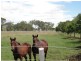 207 Jonel Park Road, Allora QLD 4362