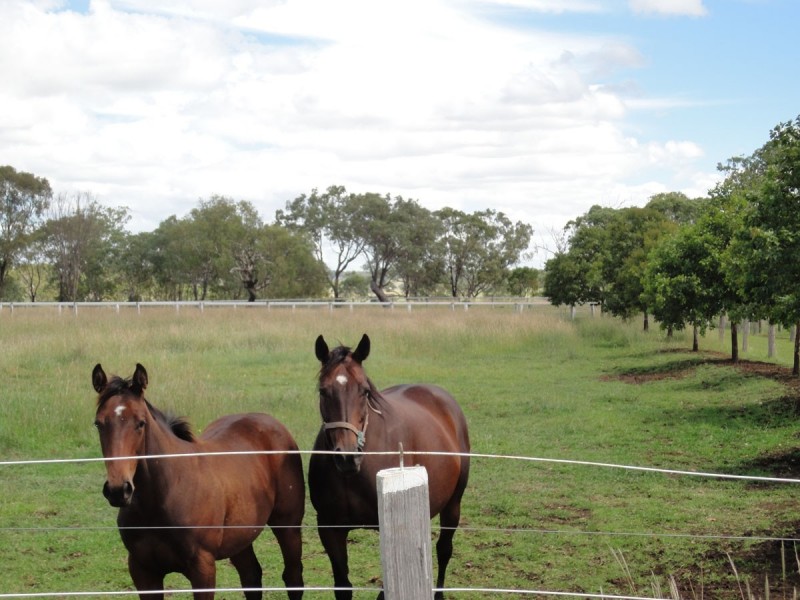 207 Jonel Park Road, Allora QLD 4362